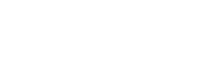 APALI Civic Leadership Program